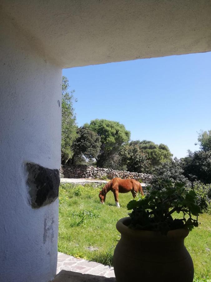 Bed and Breakfast Sa Ruscitta à SantʼAntìoco Extérieur photo